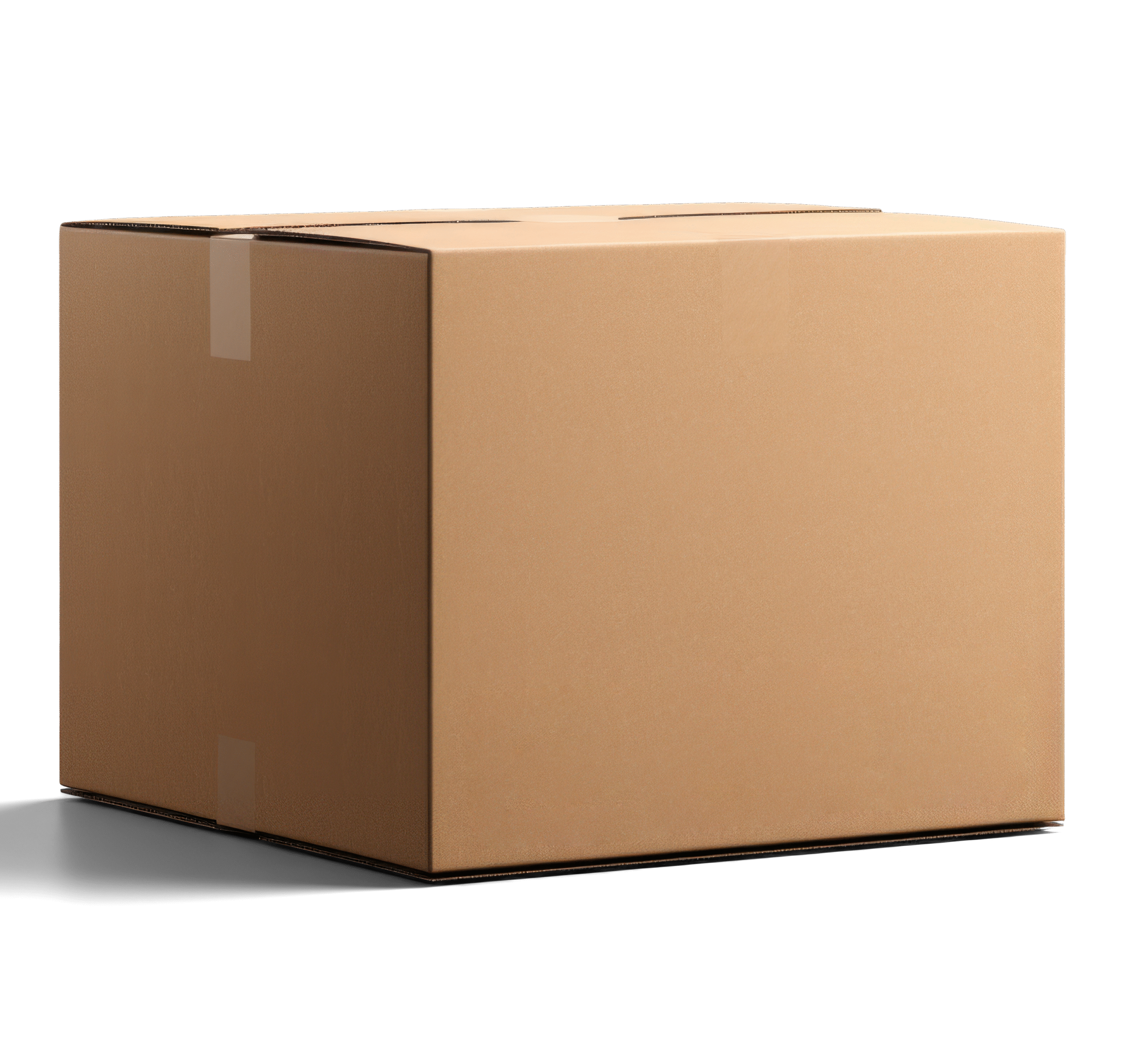 Carton de 25 kg de vitamine C (acide ascorbique) pour plantes Axe Diffusion